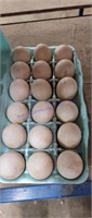 1.5 Doz Duck Eggs