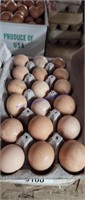 1.5 Doz Fertile Mixed Guinea Eggs