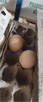 2 Fertile Black Shoulder Peacock Eggs