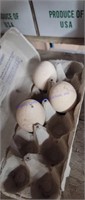 3 Fertile Black Shoulder Peacock Eggs