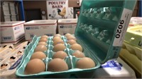 1.5 Doz Fertile Guinea Eggs