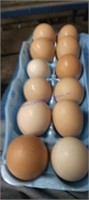 4 Doz Brown Eating Eggs