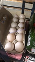 3 Doz Duck Eating Eggs