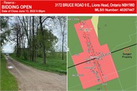 Vacant Land Real Estate, Residential Lions Head, ON N0H 1W0