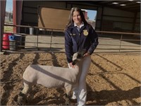 2022 Silver Dollar Fair Jr. Livestock Auction