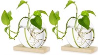 TABLETOP HANGING GLASS PLANTER - 2PACK