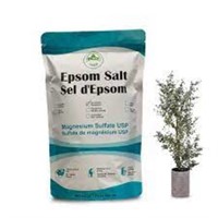 Yogti Eucalyptus Epsom Salt (1lb)