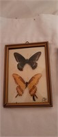 3 Bubble Glass Frames with Butterflies