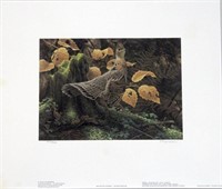 1988 First of Province-Quebec Wildlife Foundation