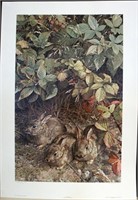 "A Young Generation" wildlife print, cottontails