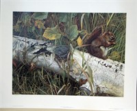 "Forager's Reward" red squirrel, wildlife print