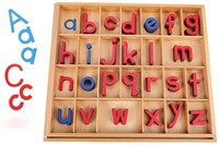 Montessori Wooden Letters Learning Tool