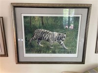 Framed "White Tiger" Pairint