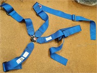 Race harness (out of date) 4 point: Klippan