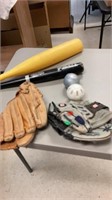 T ball items( gloves, bats, balls)