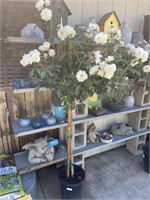 Magnolia Gift and Garden Summer Auction (ABO)