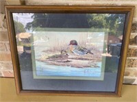 Rambow Framed Duck Print