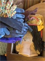Men's & Women’s Gloves