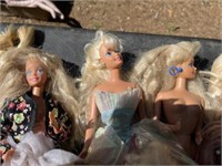 20+/- Barbie Dolls