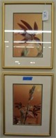 Framed Pair of Photos of Orchids