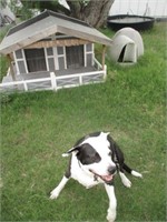 Buster's Custom Wood Dog House & Guest House