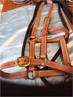 (Private) LEATHER HEADSTALL