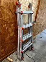 Little Giant Adjustable Ladder