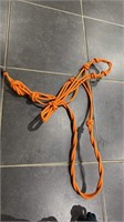 (Private) TWISTED COWBOY HALTER