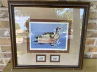 Framed Duck & Stamps Print