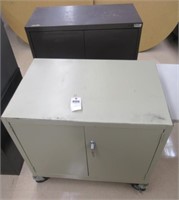 Rolling security cart. Measures 35" H x 36" W x