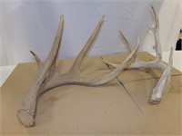Antlers (2)