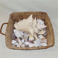 Basket of Sea Shells w/ 1 Large Conch Shell