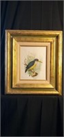 Gordon bird painting signed 16.5"×18.5