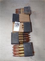 (5 Clips) 30-06 Ammunition - 8 Ct.