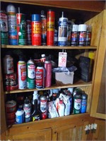 Contents of Automotive Cupboard