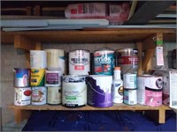 Contents of Paint Shelf