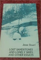 Lost Sandstone & Lonely skies & other essays but