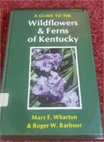 Wildflowers & ferns of Kentucky