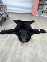Black Bear Full Body Hide Wall Hanging