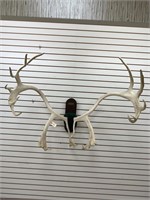 Large Caribou Rack on Wooden Plaque