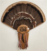 Turkey Fan on Wooden Plaque w/ Beard & Feet