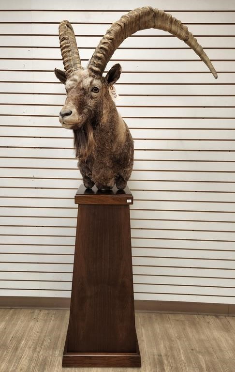 09/24/22 Taxidermy Auction