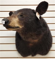 09/24/22 Taxidermy Auction