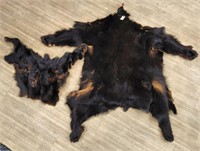 Full Sized & Partial Bear Hides