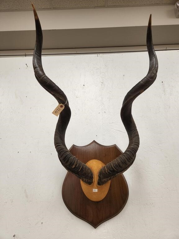 09/24/22 Taxidermy Auction