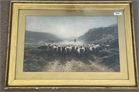 Farquhanson? Chromolithograph of Herd of Sheep