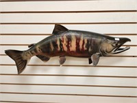 Fiberglass Chum "Dog" Salmon Full Body Mount