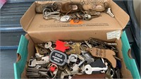Huge Lot of Various Type Keys & Some Keychains