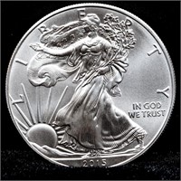 2015 American Silver Eagle -1 Oz. coin