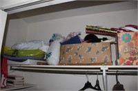 Closet Top Shelf Contents